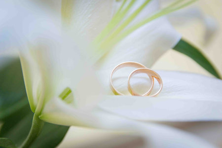two wedding rings lying on a white flower