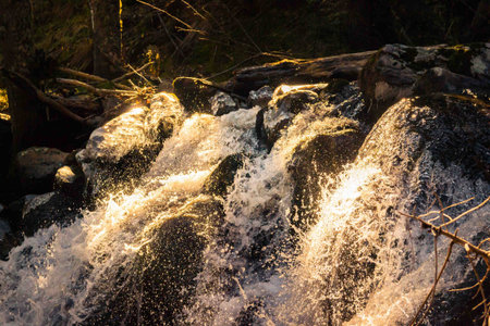 waterfall in Russia mountain river, mountain gorge, forest landscape, coniferous forest in autumn,の写真素材