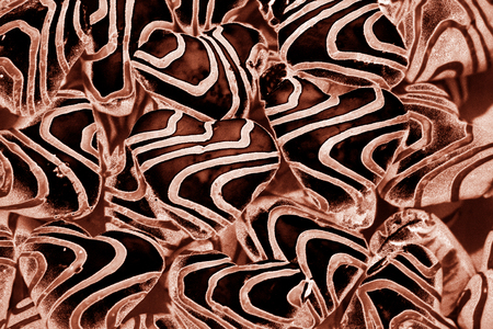 hearts in the form of abstractions, color patterns, chaotic stripesの写真素材