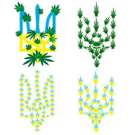 emblem of Ukraine on which cannabis leaves and inflorescences are pasted.のイラスト素材