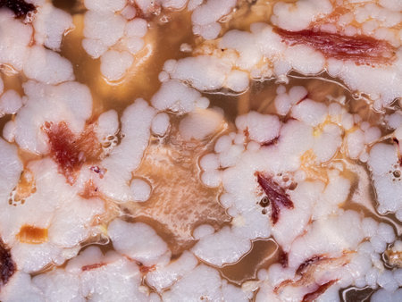 isolated aspic from pork meat beef and chicken on the table. appetizer of Ukrainian, European cuisine. jellyの写真素材