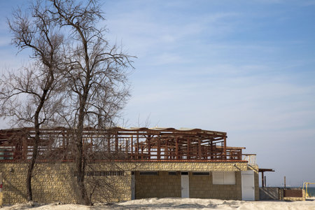 seascape terrace with trees on the beachの写真素材