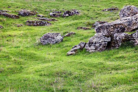 some rocks in a green field on summerの写真素材