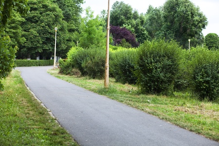 empty path in a park full of vegetationの写真素材
