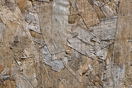 abstract background of natural woodの写真素材