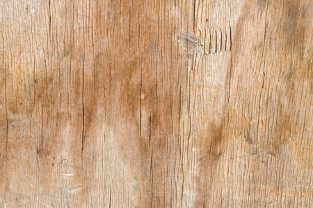 abstract background of natural woodの写真素材