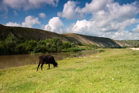 picturesque landscape with riverの写真素材
