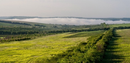 autumn landscape in fogの写真素材