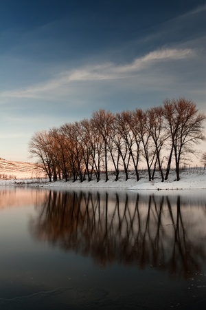 reflection of trees in water iceの写真素材