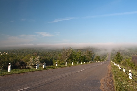 highway to fogの写真素材