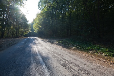 asphalt road through the forest in autumnの写真素材