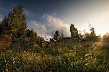 sumer landscape in the mountainsの写真素材