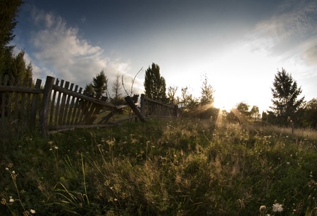 Summer landscape  in the mountains. Sunset の写真素材