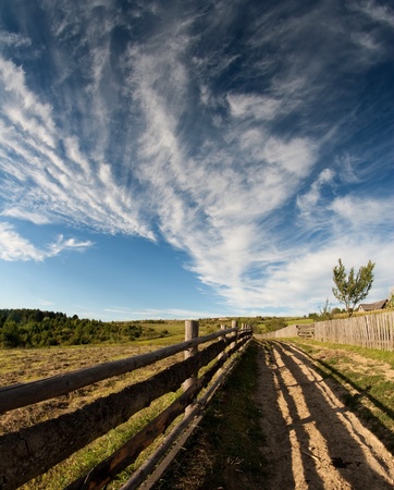 Rural landscape with sheeps in Carpathian mountainsの写真素材