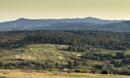 Beautiful summer landscape in the Carpathian mountainsの写真素材