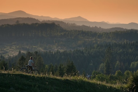 Beautiful green mountain landscape with trees in Carpathiansの写真素材