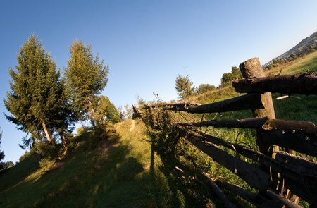 Rural landscape with sheeps in Carpathian mountainsの写真素材