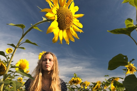 Young beautiful woman in a sunflower fieldの写真素材