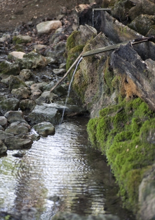 Water spring with wooden channels in forestの写真素材