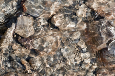 Water flowing down a Vancouver stream