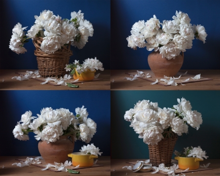 peonies, still life set of imagesの写真素材