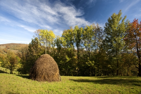 Colorful mountain scenes from the Carpathians of Romania の写真素材