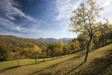 Colorful mountain scenes from the Carpathians of Romania の写真素材