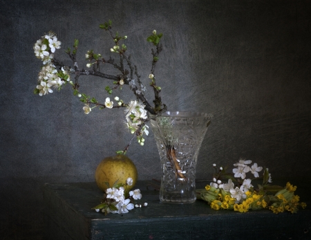 Spring flowering branches in a vaseの写真素材