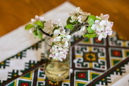 branch of apple blossoms in a vaseの写真素材