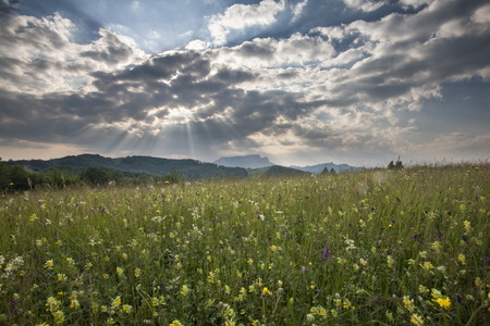 Majestic sunset in the mountains landscapeの写真素材