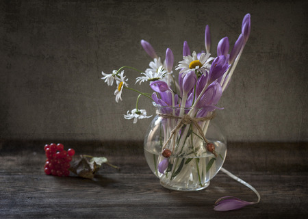 still life white crocusの写真素材