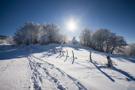 Winter morning in the Carpathian villageの写真素材