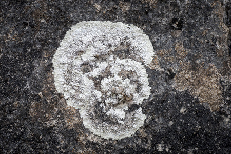 background of old stoneの写真素材