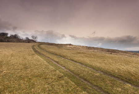 Country road through the fieldsの写真素材