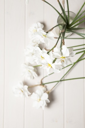 daffodilis flowers on wooden tableの写真素材
