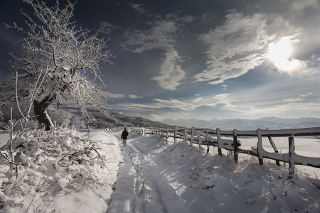 winter in romanian carpatians mountainsの写真素材