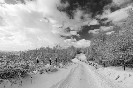 Winter forest roadの写真素材