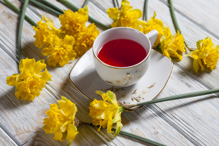 tea and daffodils on white table with vintageの写真素材