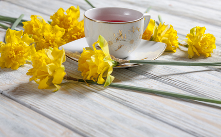 tea and daffodils on white table with vintageの写真素材