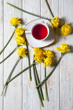 tea and daffodils on white table with vintageの写真素材