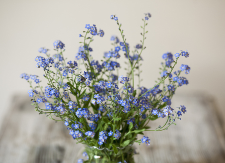 Summer time. Wildflowers in vaseの写真素材