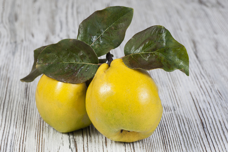 quinse on vintage wooden backgraundの写真素材