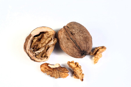 walnuts isolated on white backgraundの写真素材