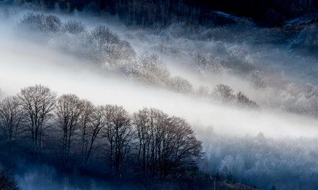 landscape with fog in Carpathians