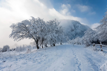 winter landscape in the Carpathian Mountains