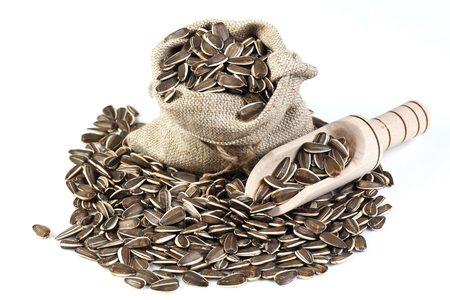 Flower seeds in bag isolated on white background. Isolated objectsの写真素材