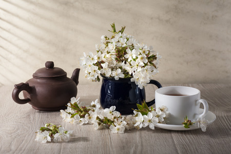 Still life with cherry blossom and green tea in the morning light.の写真素材