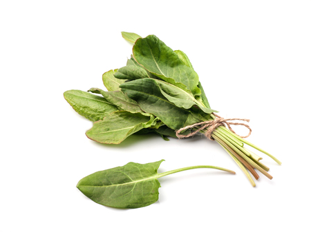 Fresh sorrel isolated on a white background. Food vegetable.の写真素材