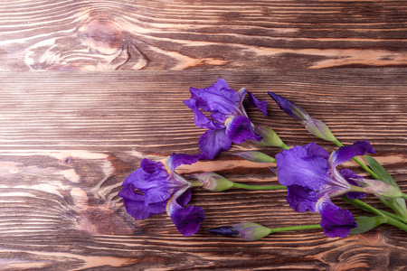 Wooden background with iris flowers. Fresh iris flowersの写真素材