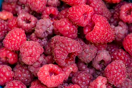 Background of raspberryの写真素材